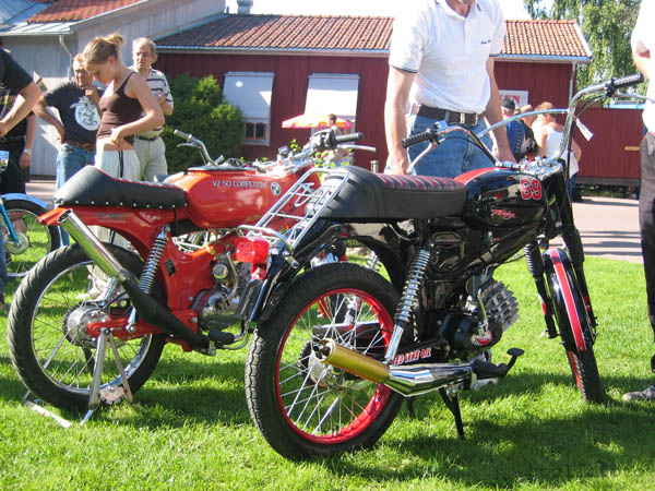 41
